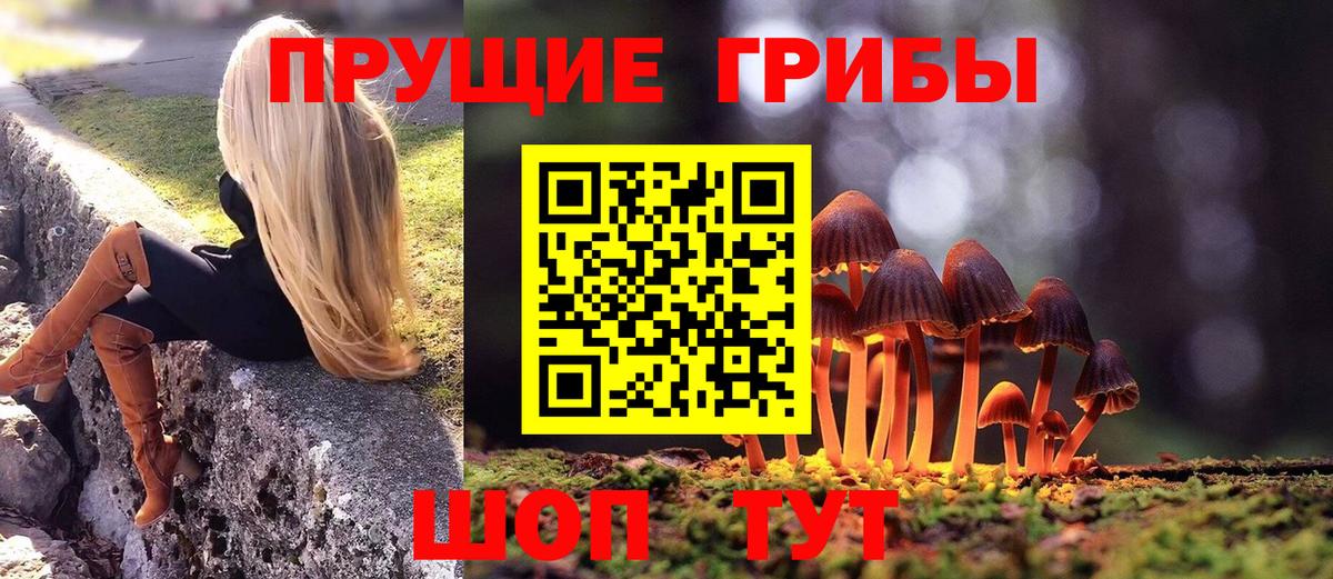 Галлюциногенные грибы Psilocybe  Галлюциногенные грибы Magic Shrooms  Черногорск  Вход с VPN 